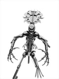 Inspired by: ALIEN MAPALN60QAB