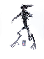 Inspired by: ALIEN MAPALN60QAB