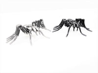 Insect - Spider