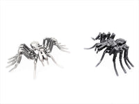 Insect - Spider