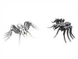 Insect - Spider