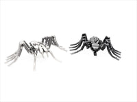 Insect - Spider