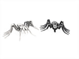 Insect - Spider