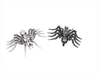 Insect - Spider
