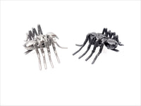 Insect - Spider