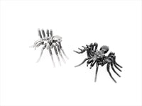 Insect - Spider