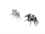 Insect - Spider