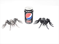 Insect - Spider
