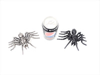 Insect - Spider
