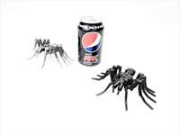 Insect - Spider