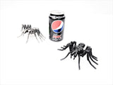 Insect - Spider