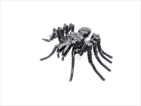 Insect - Spider