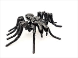 Insect - Spider