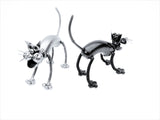 Animal - Cat