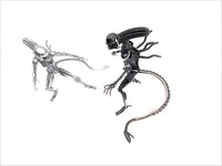 Inspired by: Alien MAPALN30S