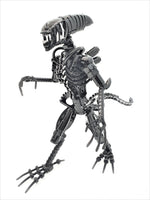 Inspired by: ALIEN MAPALN40S