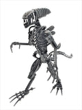 Inspired by: ALIEN MAPALN40S