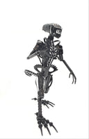 Inspired by: ALIEN MAPALN40S