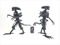 Inspired by: ALIEN MAPALN40S