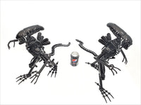 Inspired by: ALIEN MAPALN40S