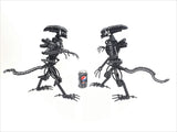Inspired by: ALIEN MAPALN40S