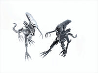 Inspired by: ALIEN MAPALN40S
