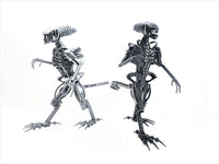 Inspired by: ALIEN MAPALN40S
