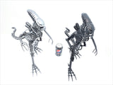 Inspired by: ALIEN MAPALN40S