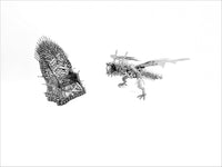 Game of Thrones - Drogan and Throne Set
