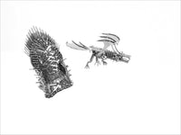 Game of Thrones - Drogan and Throne Set