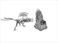 Game of Thrones - Drogan and Throne Set