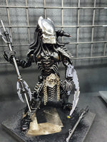 Predator 40cm silver edging on Black