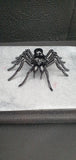 Insect - Spider