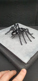 Insect - Spider