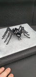 Insect - Spider