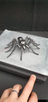 Insect - Spider