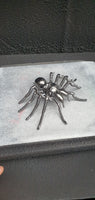 Insect - Spider