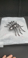 Insect - Spider