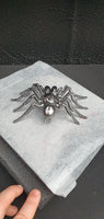 Insect - Spider