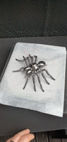 Insect - Spider