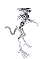 Inspired by: ALIEN MAPALN60QA