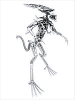 Inspired by: ALIEN MAPALN60QA
