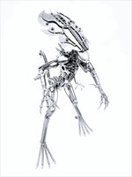 Inspired by: ALIEN MAPALN60QA