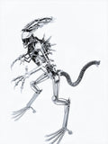 Inspired by: ALIEN MAPALN60QA