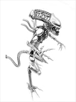 Inspired by: Alien MAPALN60