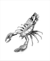 Insect - Scorpion