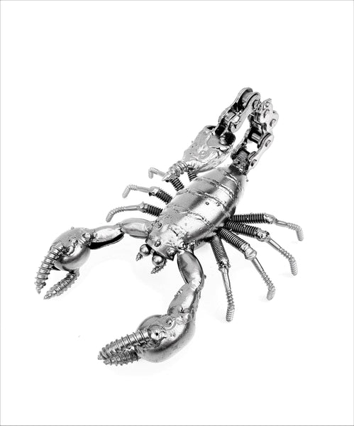 Insect - Scorpion