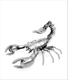 Insect - Scorpion