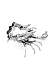 Insect - Scorpion