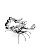 Insect - Scorpion